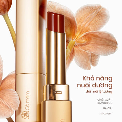 Nhã Lipstick – The Shades of Elegance