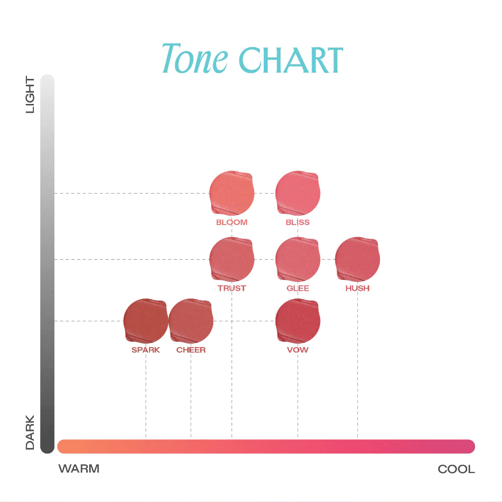 Lemonade Perfecft Couple Blurry Stain Lip Cream
